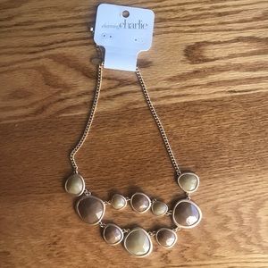 Charming Charlie necklace